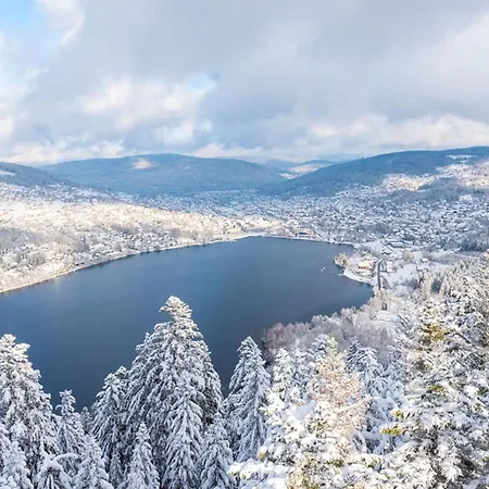 Apartamento Beautiful T3 Close To The Slopes Gérardmer